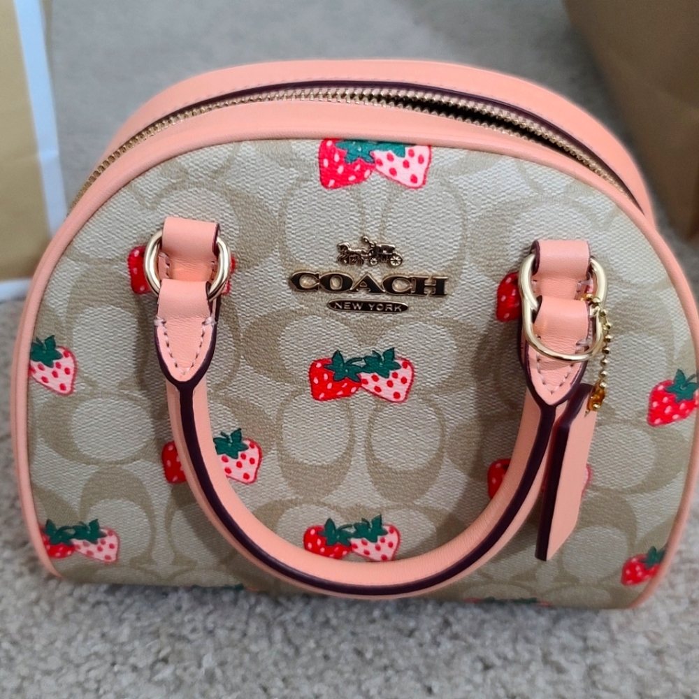 Coach Mini Sydney Satchel bag strawberry collection